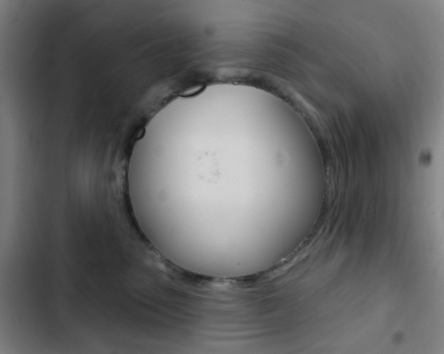 X0000103260475200808291047