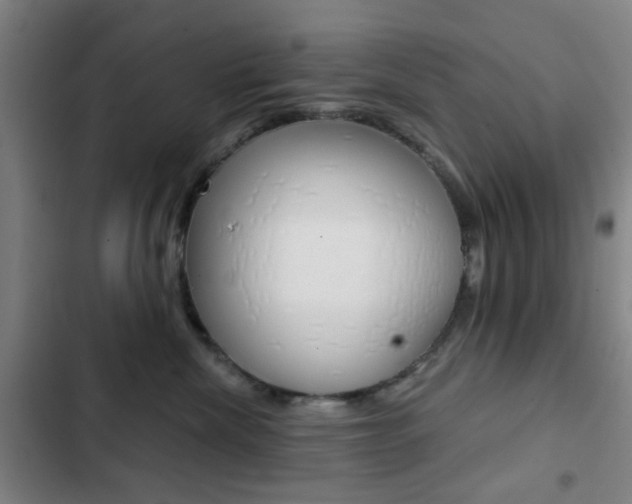 X0000103260476200808291047