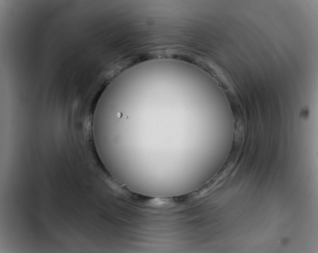 X0000103260477200808291047