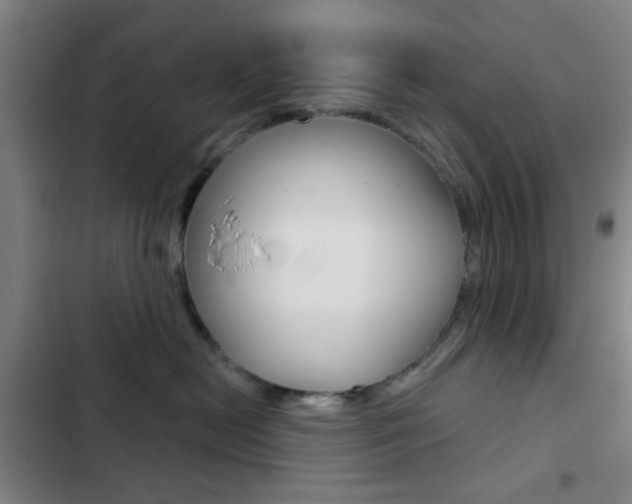 X0000103260478200808291047