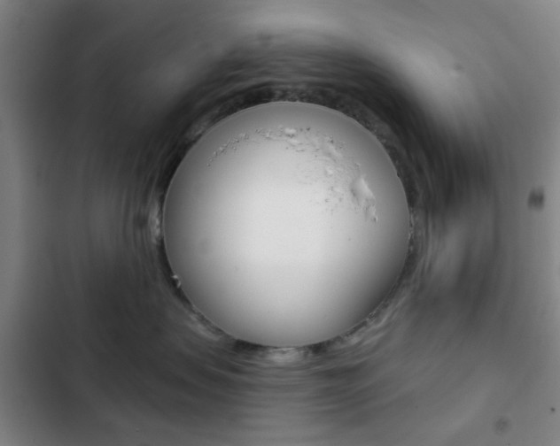 X0000103260479200808291047