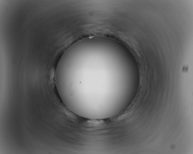 X0000103260480200808291047