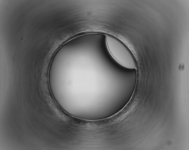 X0000103260481200808291046