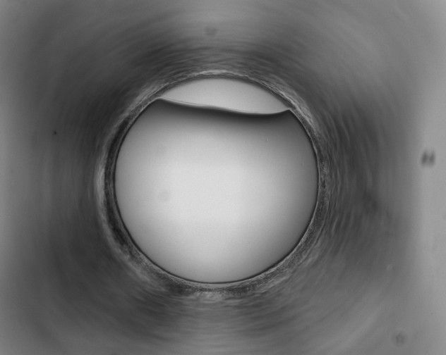 X0000103260482200808291046