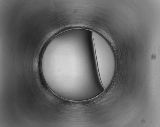 X0000103260483200808291046