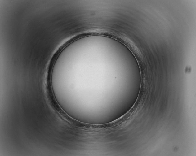 X0000103260484200808291046