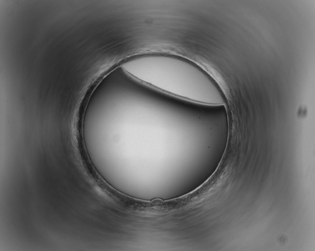 X0000103260485200808291046