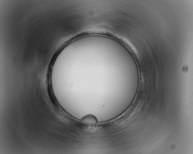 X0000103260487200808291046