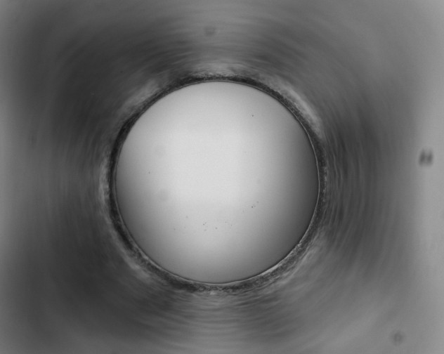 X0000103260489200808291046