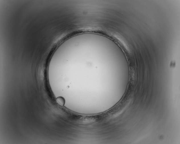 X0000103260491200808291046