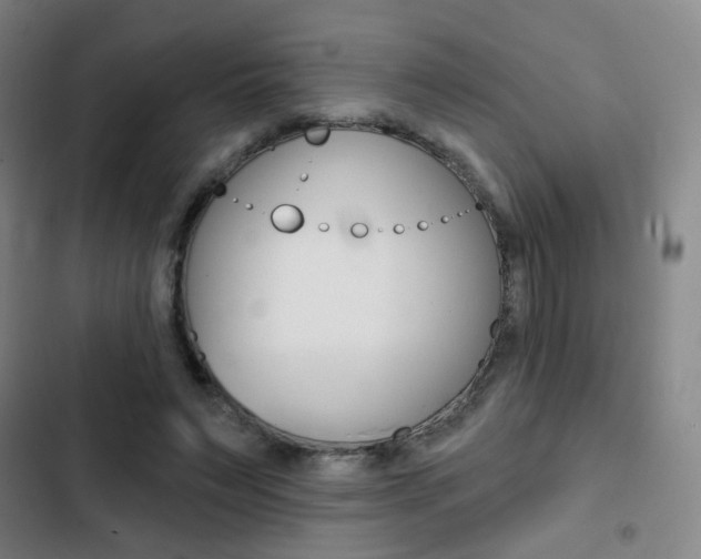 X0000103260495200808291046