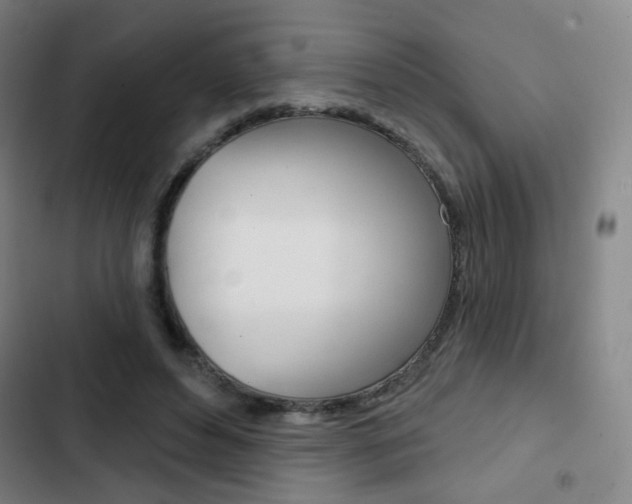 X0000103260496200808291046