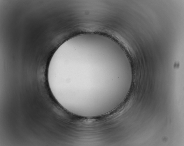 X0000103260497200808291046