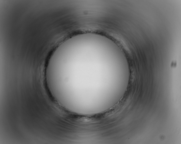 X0000103260498200808291046