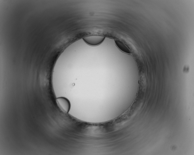 X0000103260499200808291046