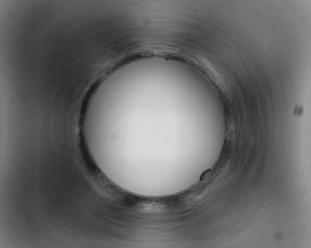 X0000103260500200808291046