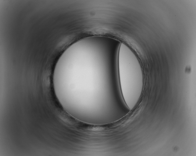 X0000103260501200808291046