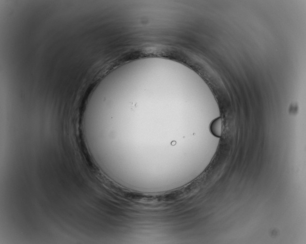 X0000103260502200808291046