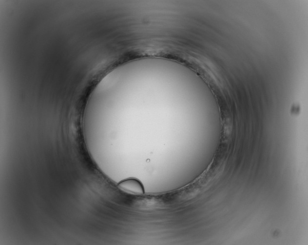 X0000103260503200808291046