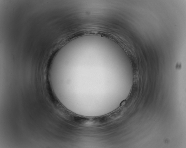 X0000103260504200808291046