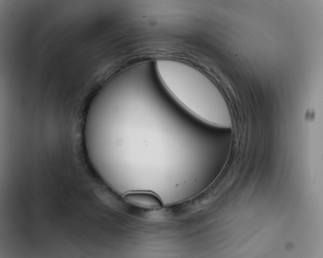 X0000103260505200808291046