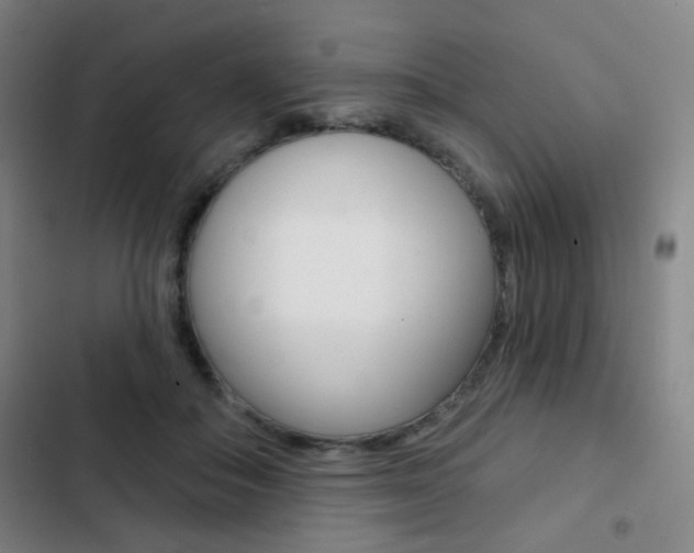 X0000103260506200808291046