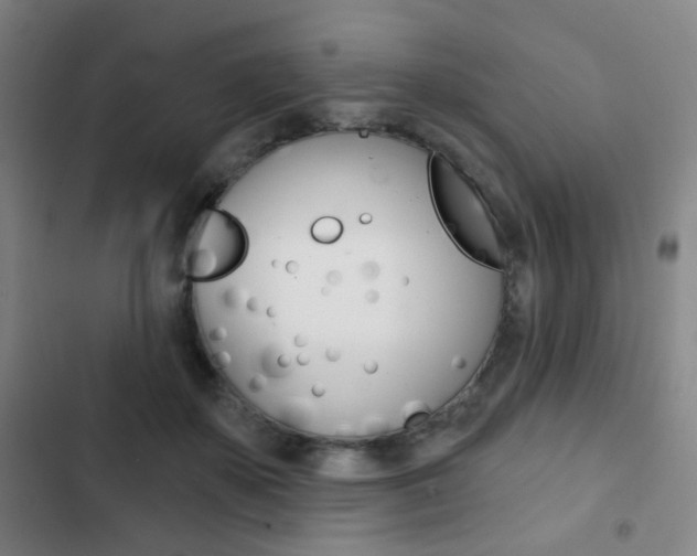 X0000103260507200808291046