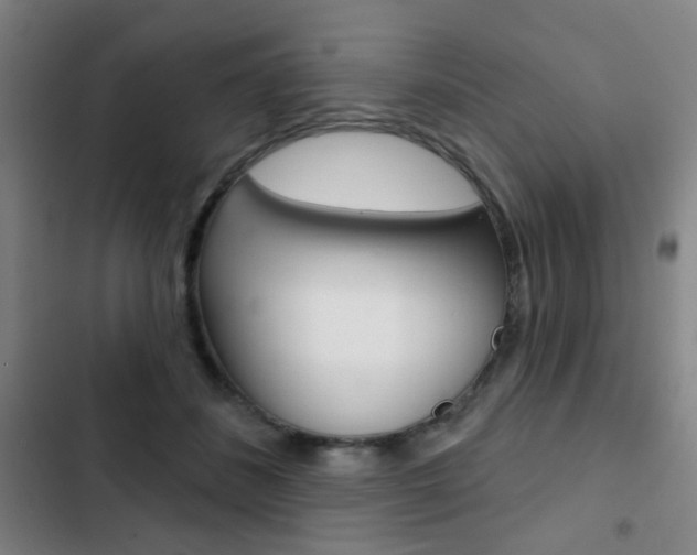 X0000103260508200808291046