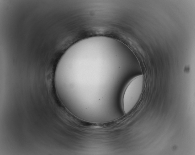 X0000103260509200808291046