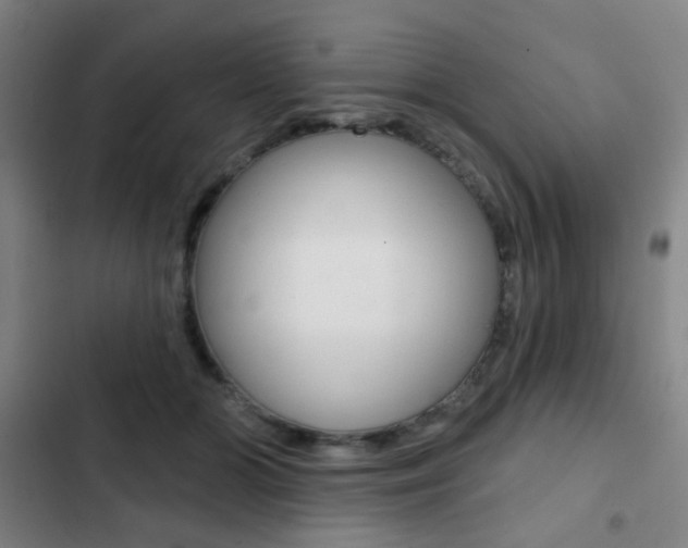 X0000103260510200808291046