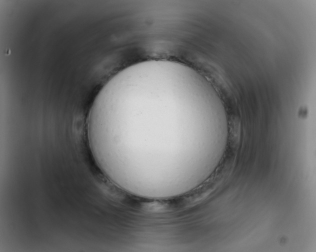 X0000103260511200808291046