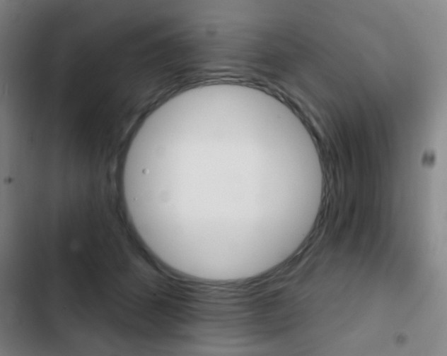 X0000103260512200808291046