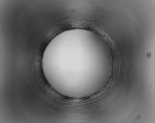 X0000103260513200808291046