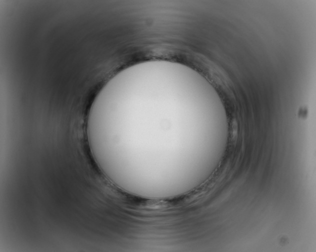 X0000103260514200808291046