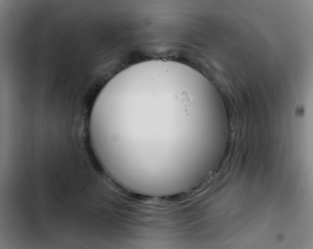 X0000103260515200808291045