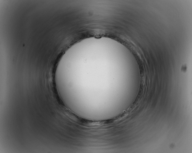 X0000103260516200808291045