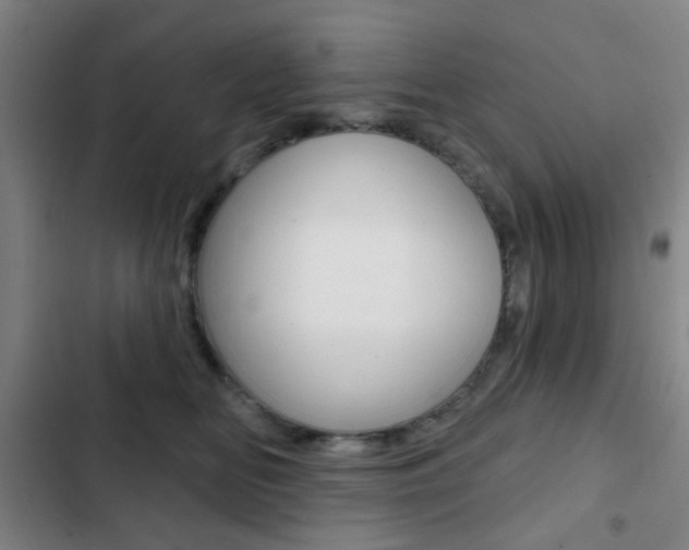 X0000103260518200808291045
