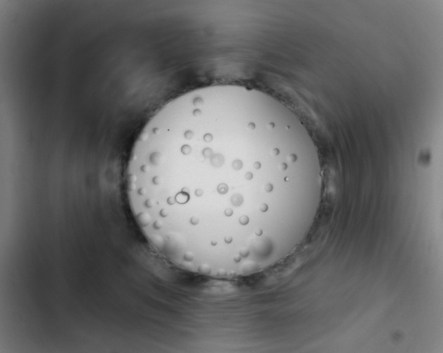 X0000103260519200808291045