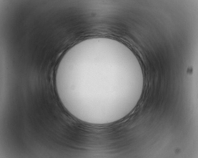 X0000103260520200808291045