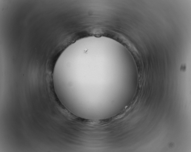 X0000103260521200808291045