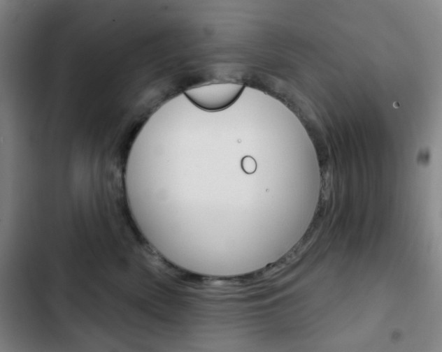 X0000103260522200808291045