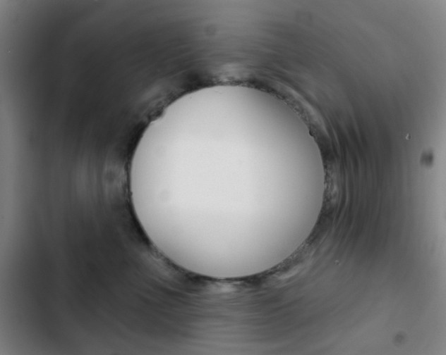 X0000103260523200808291045