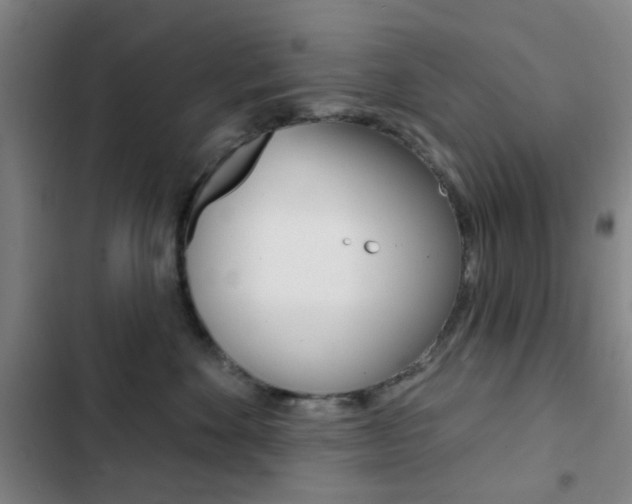 X0000103260524200808291045
