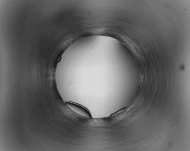 X0000103260525200808291045