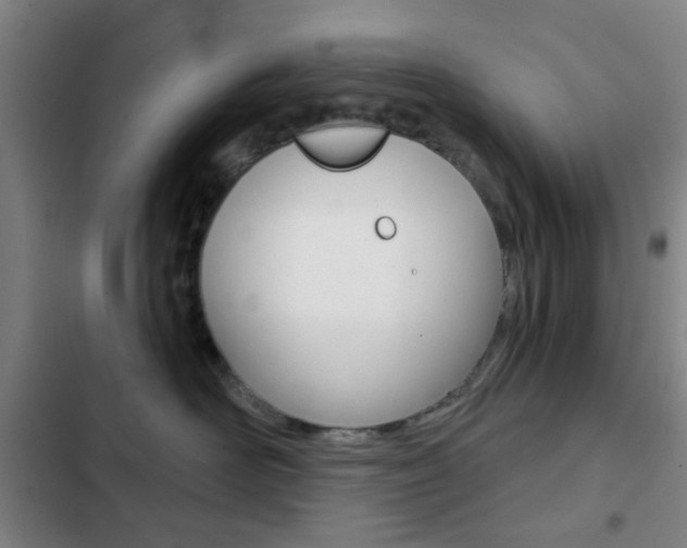 X0000103260526200808291045