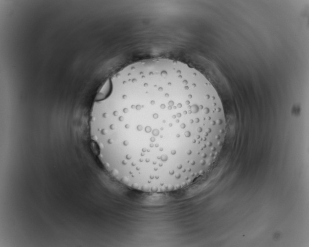 X0000103260527200808291045