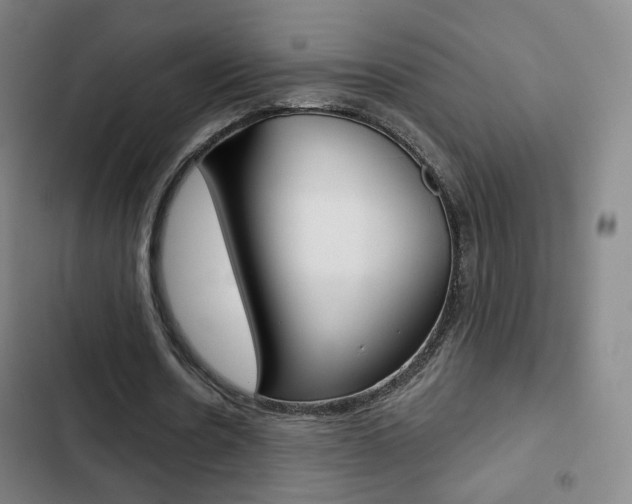 X0000103260530200808291045