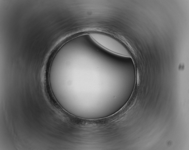 X0000103260531200808291045