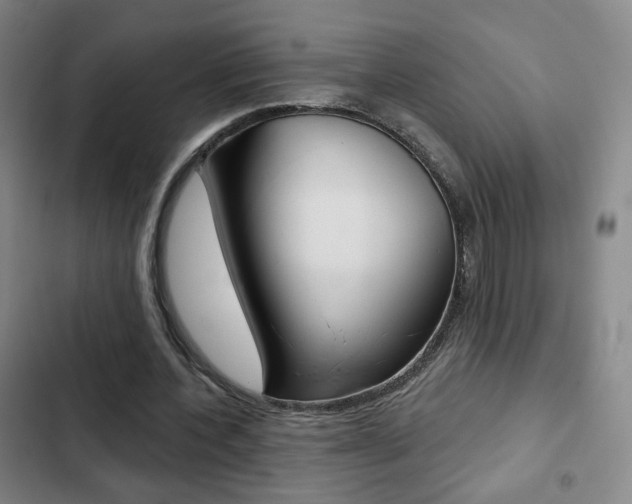 X0000103260532200808291045