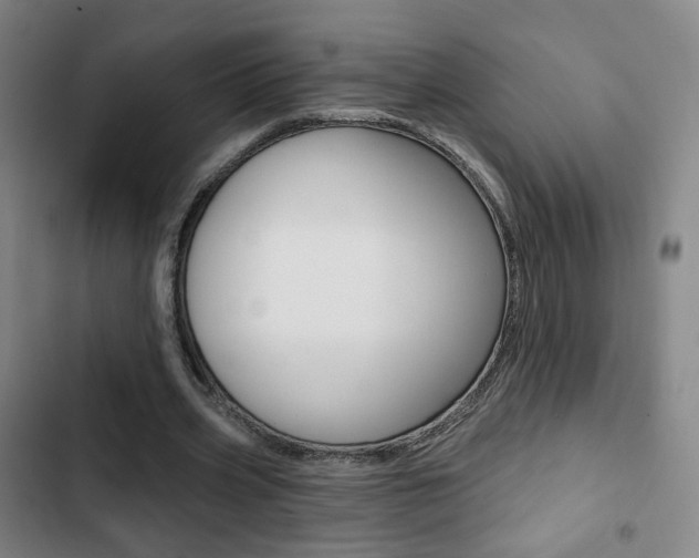 X0000103260533200808291045